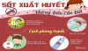 BÀI TUYÊN TRUYỀN PHÒNG CHỐNG BỆNH SỐT XUẤT HUYẾT