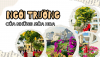 🌹🌹🌹 HƯỞNG ỨNG ĐỀ ÁN “HẠ LONG – THÀNH PHỐ CỦA HOA” TIỂU HỌC TRẦN QUỐC TOẢN BỪNG SÁNG - XANH – SẠCH – ĐẸP – AN TOÀN VÀ HẠNH PHÚC 🌺🌸🍀