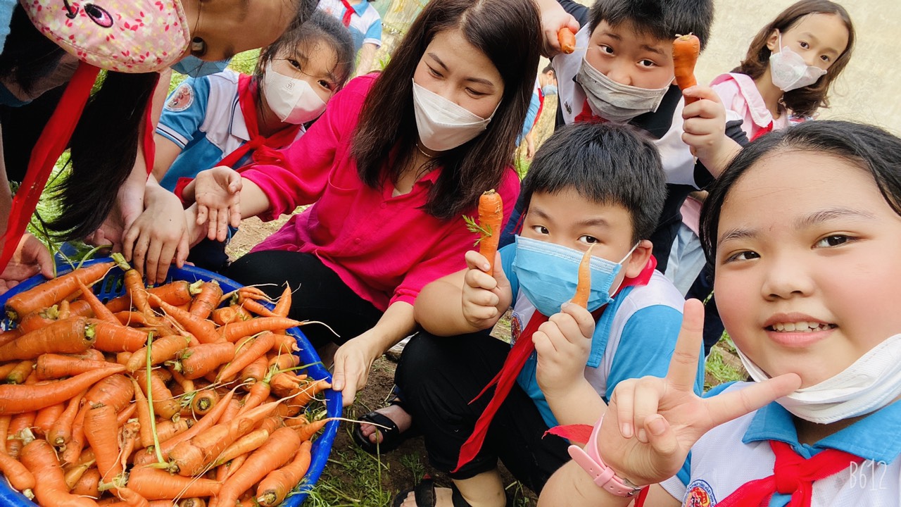Có phải ở đâu xa xôi, ngay trong trường Tiểu học Trần Quốc Toản thôi - Nông dân nhí 4A3 bội thu cà rốt!